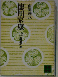 徳川家康 12 華厳の巻