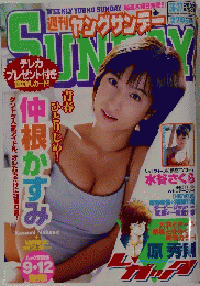 ヤングサンデー　２００２年８月２２・２９日号