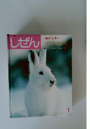 しぜん　1　のうさぎ