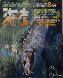 海彦 1995年8月