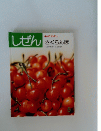 しぜん　5　さくらんぼ