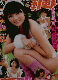 ヤングアニマル　2011年2月28日号　Vol.2