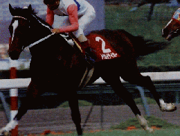 競馬ブック　天皇寅　4月25.26日