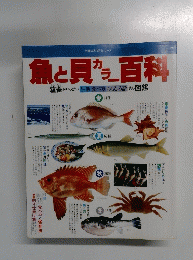 魚と貝カラー百科　蘊蓄がいっぱい 生態食べ方 おもしろ話 読む図鑑