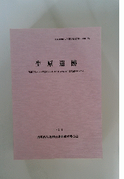 生原遺跡　