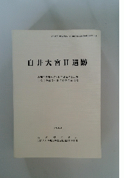 白井大宮II遺跡