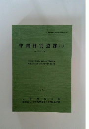 中内村前遺跡 (1)
