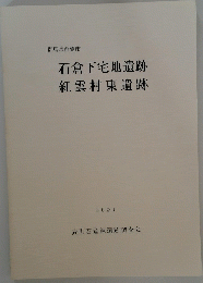 石倉下宅地遺跡紅雲村東遺跡　2001年号