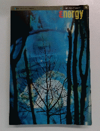 Energy　28