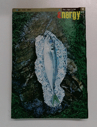 Energy 1971年　vol.8  no.3