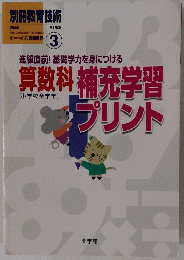 算数科 補充学習プリント