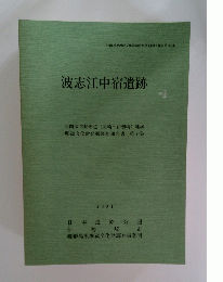 波志江中宿遺跡　2001