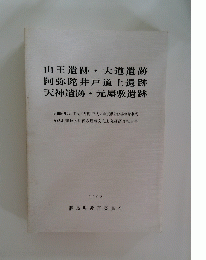 山王遺跡 大道遺跡 阿弥陀井戸道上遺跡 天神遺跡・ 元屋敷遺跡