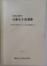 元総社蒼海遺跡群 元総社小見遺跡 2000