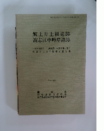 飯土井上組遺跡 波志江中峰岸遺跡