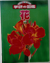 学研の図鑑  花