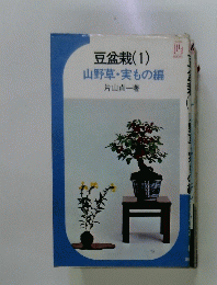 盆栽(1)　山野草・実もの編