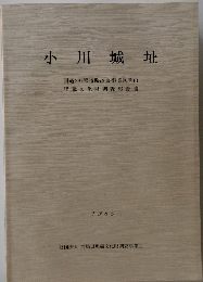 小川城址  国道291号道路改良事業区間内 埋蔵文化財調査報告書 1985