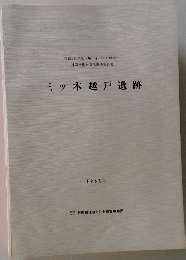 三ツ木越戸遺跡　1981年