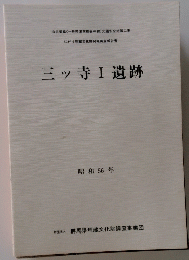 三ッ寺Ⅰ遺跡　昭和56年 
