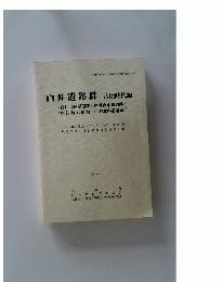 白井遺跡群 古墳時代編