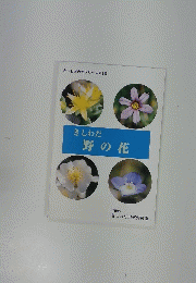 きしわだ野の花
