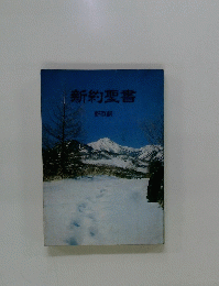 新約聖書 新改訳