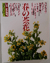 別冊家庭画報 茶道シリーズ 7 春の茶花　
