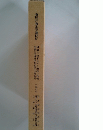 南蛇井増光寺遺跡　IV