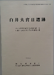 白井大宮Ⅱ遺跡　2002
