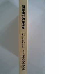 和田山天神前遺跡　1999