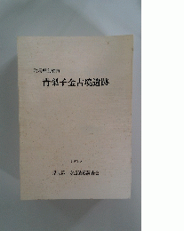 群馬県前橋市　青梨子金古境遺跡　1995