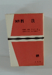 演習刑法