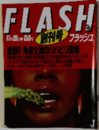 FLASH　11月19日号