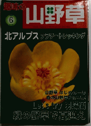 趣味の山野草　2005年6月