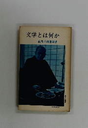 文学とは何か
