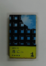 逃亡(下)