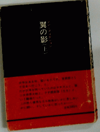 翼の影(上)　