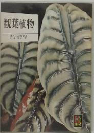 観葉植物