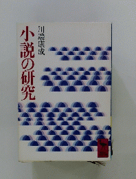 小説の研究