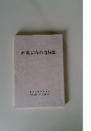 西馬音内の地域誌