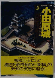 歴史群像 名城シリーズ 8　小田原城