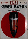 AERA アエラ1991.2.10（NO.6）緊急増刊