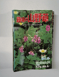 趣味の山野草　1981年8月号　No. 13