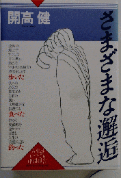 さまざまな邂逅