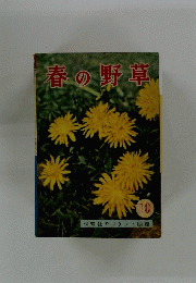 春の野草 10 