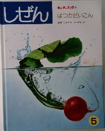 しぜん　はつかだいこん