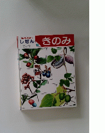しぜん　10　きのみ