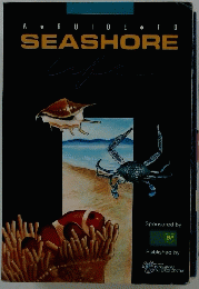 A GUIDE TO SEASHORE