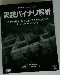 実践バイナリ解析